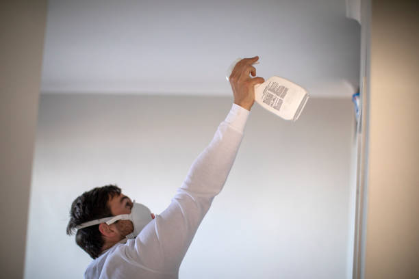 Best Black Mold Removal  in Macungie, PA