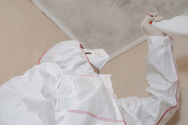 Best Affordable Mold Removal  in Macungie, PA